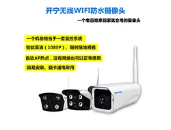 室外無(wú)線WIFI網(wǎng)絡(luò)攝像機(jī)系列2 （點(diǎn)擊進(jìn)入大圖）