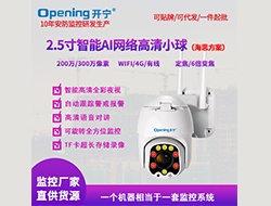 2.5寸智能AI網絡高清小球（點擊進入大圖）